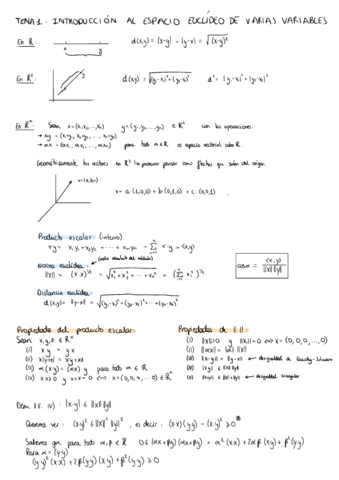 Calculo-II-Tema-1.pdf