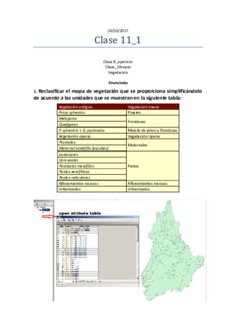 Clase-11-Ejercicio-de-reclasificacion-de-una-capa.pdf