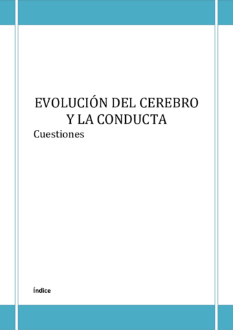 CUESTIONES.pdf