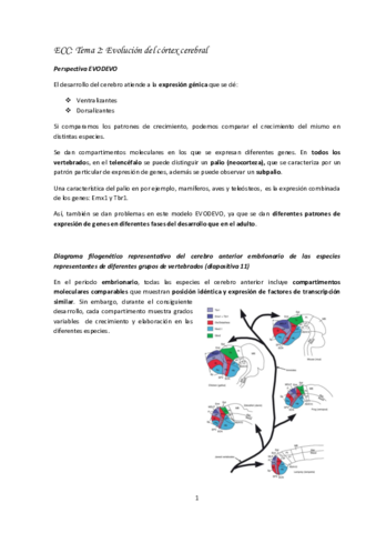 Tema-2-Paco-ECC.pdf