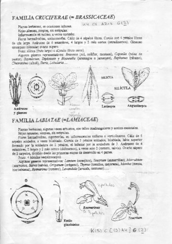 Practicas de Laboratorio con Formulas Florales.PDF