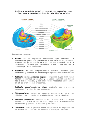 Biologia-examen-.pdf