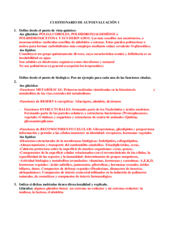 Autoevaluacion-1.pdf