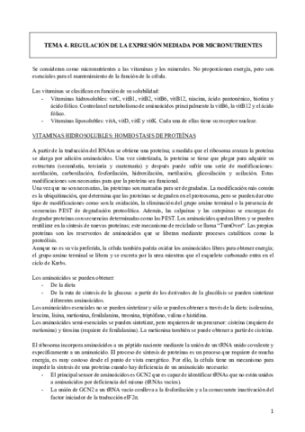 TEMA-4-MICRONUTRIENTES.pdf