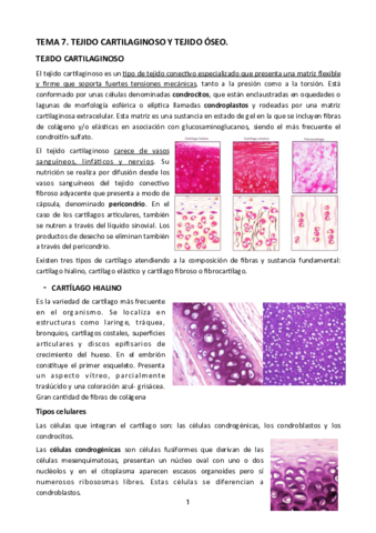 Tema-7.pdf