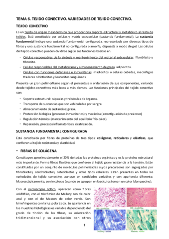 TEMA-6.pdf