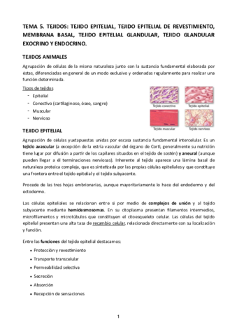 Tema-5-Histologia-Mac.pdf