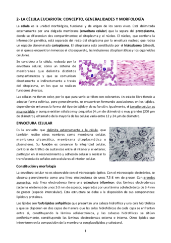 Tema-2.pdf