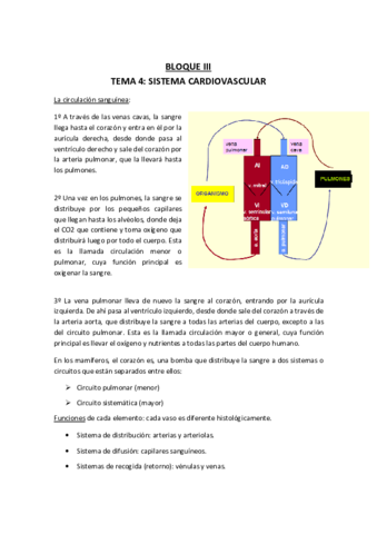 Tema-4.pdf