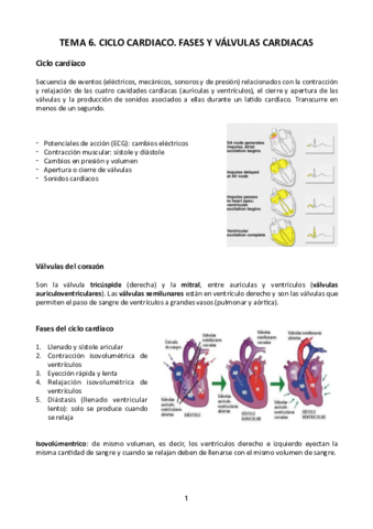 Tema-6.pdf