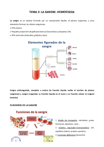 Tema-3-Fisiologia.pdf