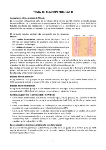 Tema-18.pdf