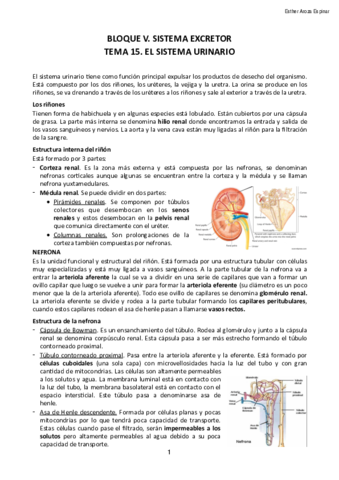 Bloque-V.pdf