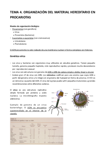 Tema-4-Genetica.pdf