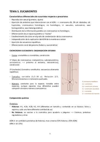 Tema-5.pdf