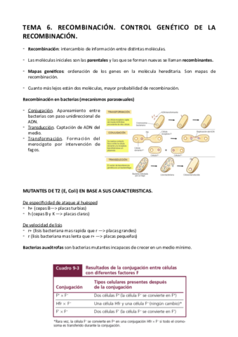 Tema-6-genetica.pdf