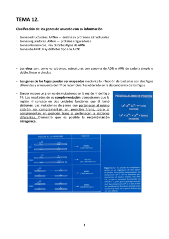Tema-12.pdf