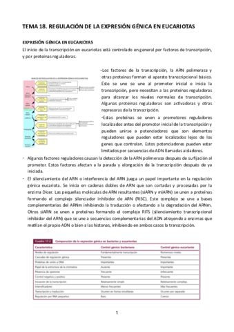 Tema-18.pdf