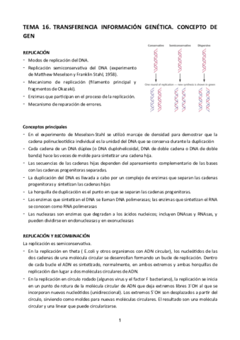 Tema-16.pdf