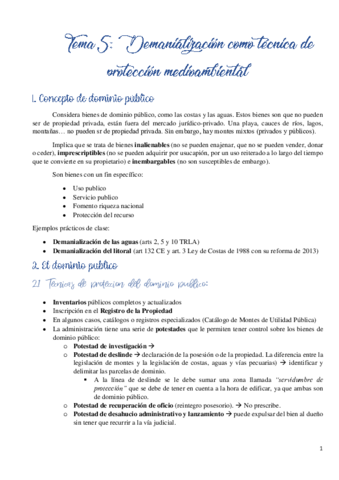 Tema-5.pdf
