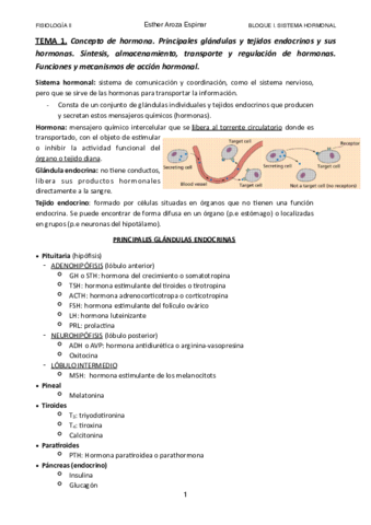 TEMA-1.pdf