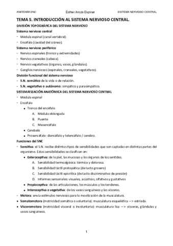 ANATOMIA-SNC-COMPLETO.pdf