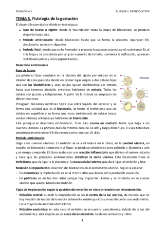 Tema-5.pdf