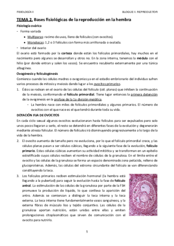 Tema-2.pdf