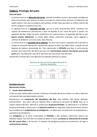 Tema-6.pdf