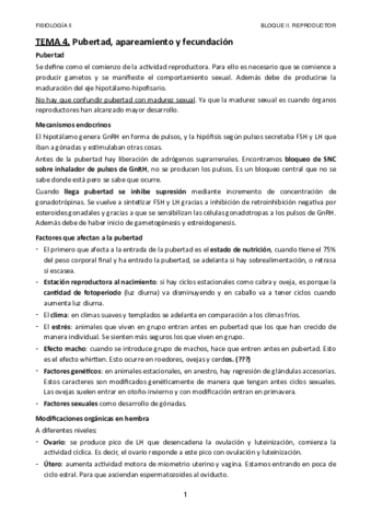 Tema-4.pdf