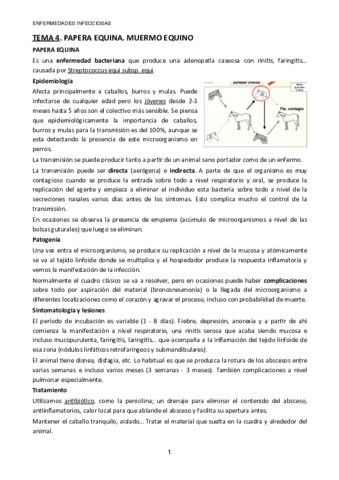 TEMA-4.pdf