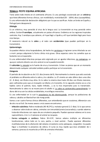 TEMA-6.pdf