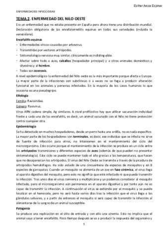 TEMA-2.pdf