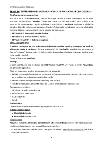 TEMA-16.pdf