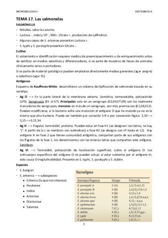 Tema-17.pdf