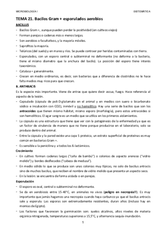 Tema-21.pdf