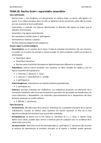 Tema-20.pdf