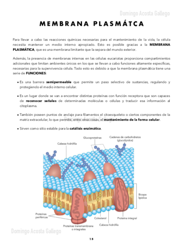 Membrana-Plasmatica-.pdf