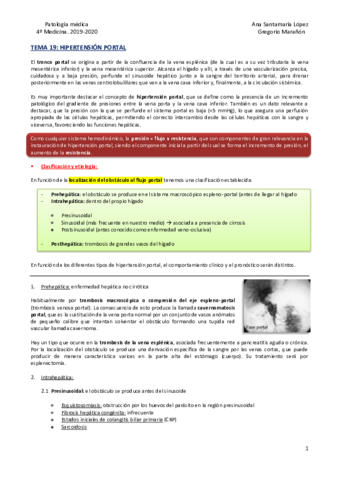 Tema-19-Hipertension-portal.pdf