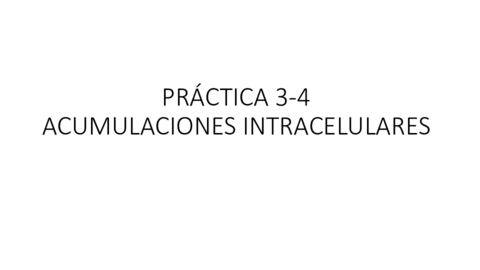 PRÁCTICA 3-4.pdf
