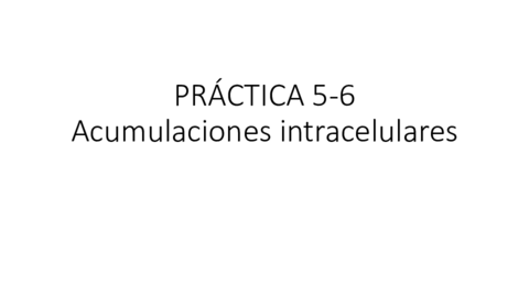 PRÁCTICA 5-6.pdf