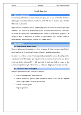 Tema 8 - Glaucoma.pdf
