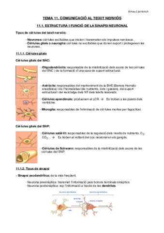 Apunts-Fisiologia-i-Fisiopatologia-I-Tema-11.pdf