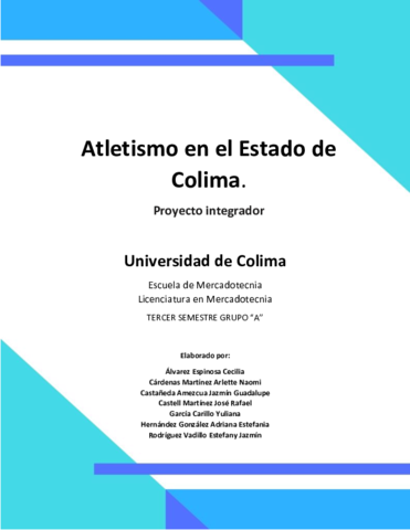 ProyectoIntegrador3raParcialfinal.pdf