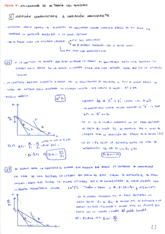 Tema-3-Micro-III.pdf