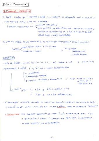 Tema-1-Micro-III.pdf