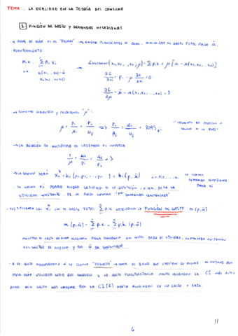 Tema-2-Micro-III.pdf