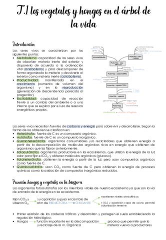 Tema-1-Los-vegetales-en-el-arbol-de-la-vida.pdf