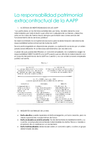 resp-patrimonial-de-las-AAPP.pdf