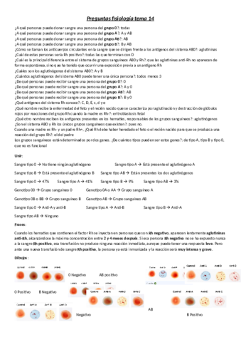 Preguntas-fisiologia-tema-14.pdf